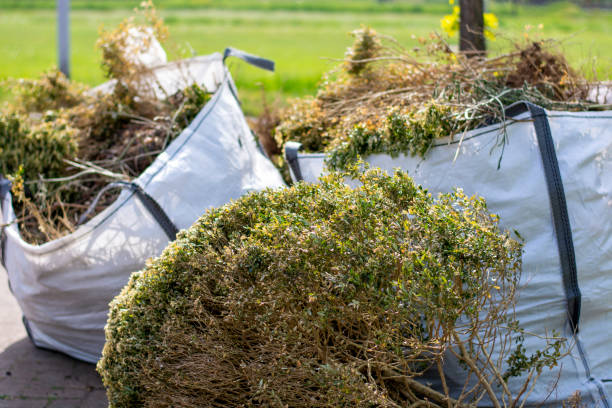 Best Estate Cleanout Services  in Honea Path, SC
